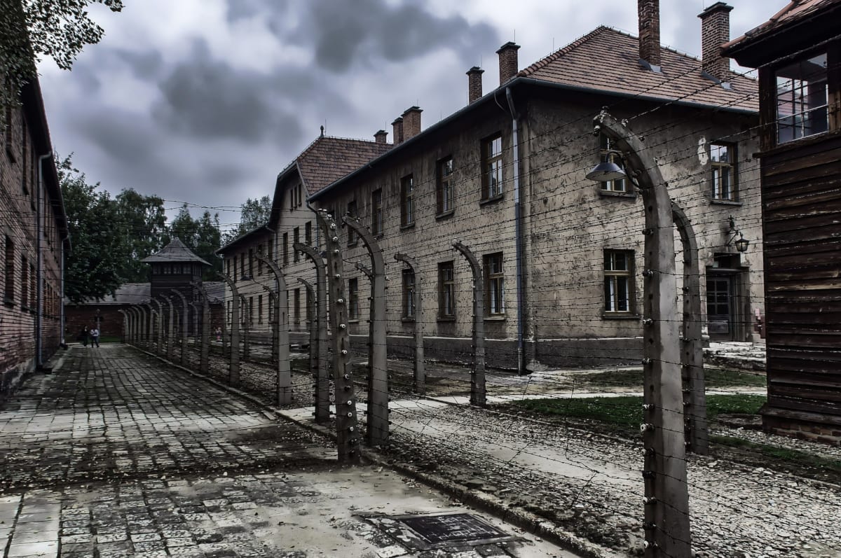Full-Day Auschwitz-Birkenau and Oskar Schindler Factory Tour from Krakow