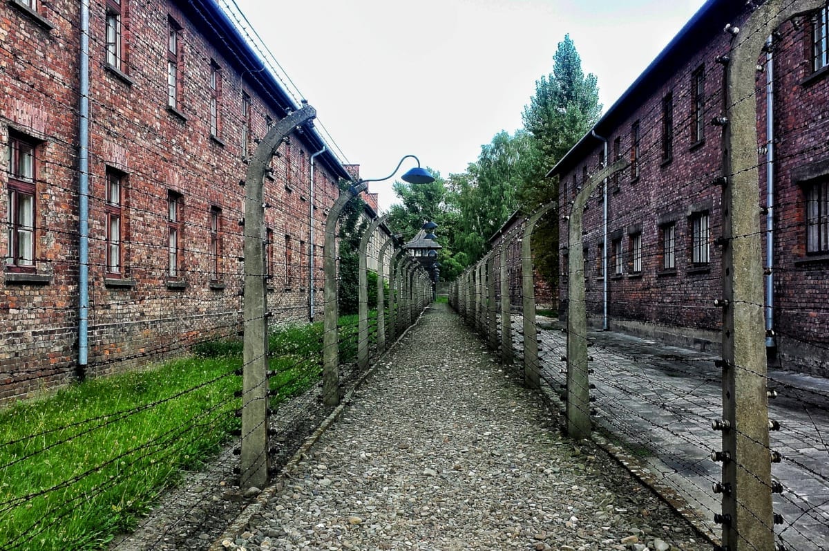 Full-Day Tour of Auschwitz-Birkenau and Salt Mine from Krakow