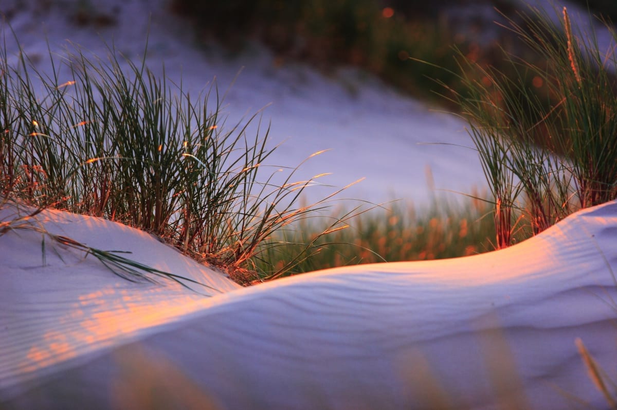 Słowiński National Park - Moving sand dunes - Baltic coast