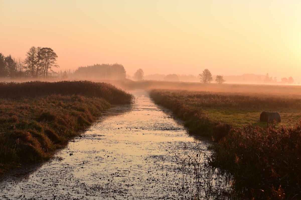 Kampinos National Park