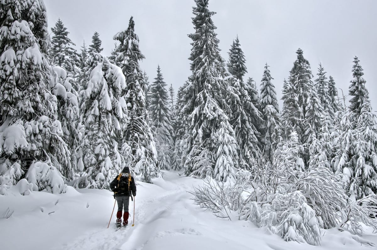 Winter Activities in Poland