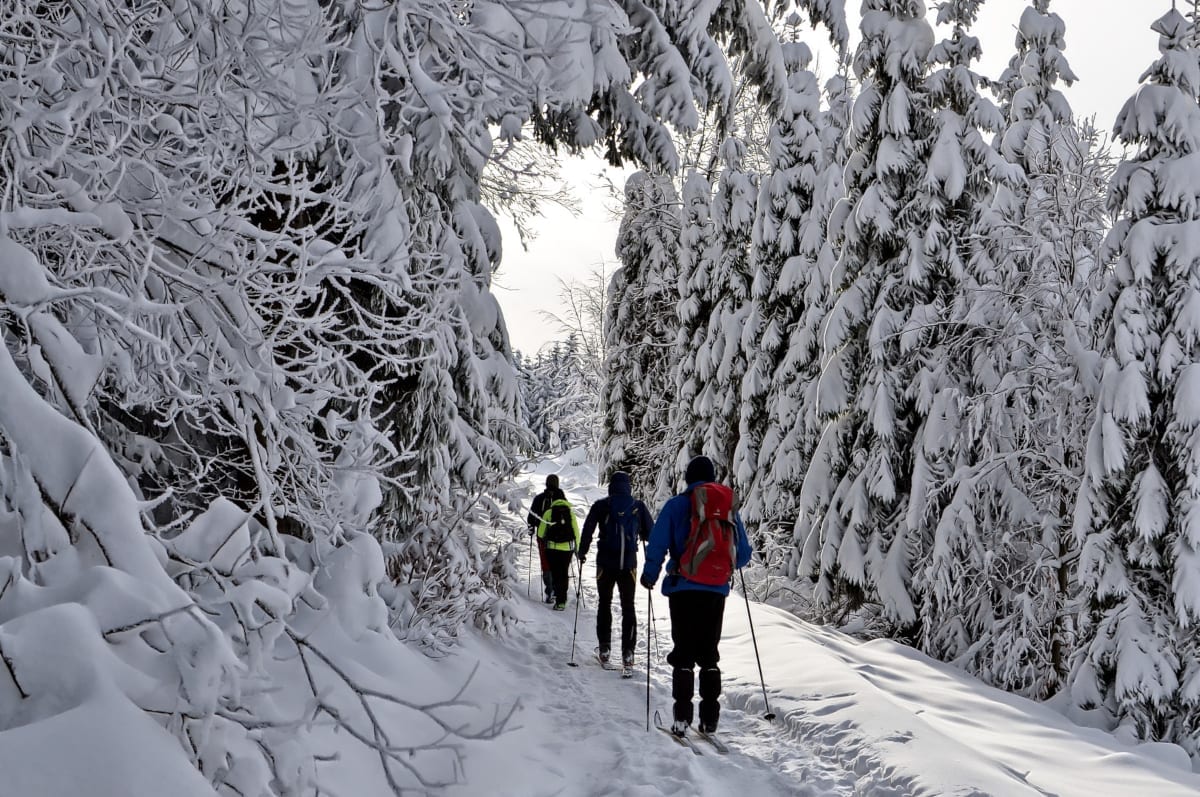 Outdoor Activities in Poland