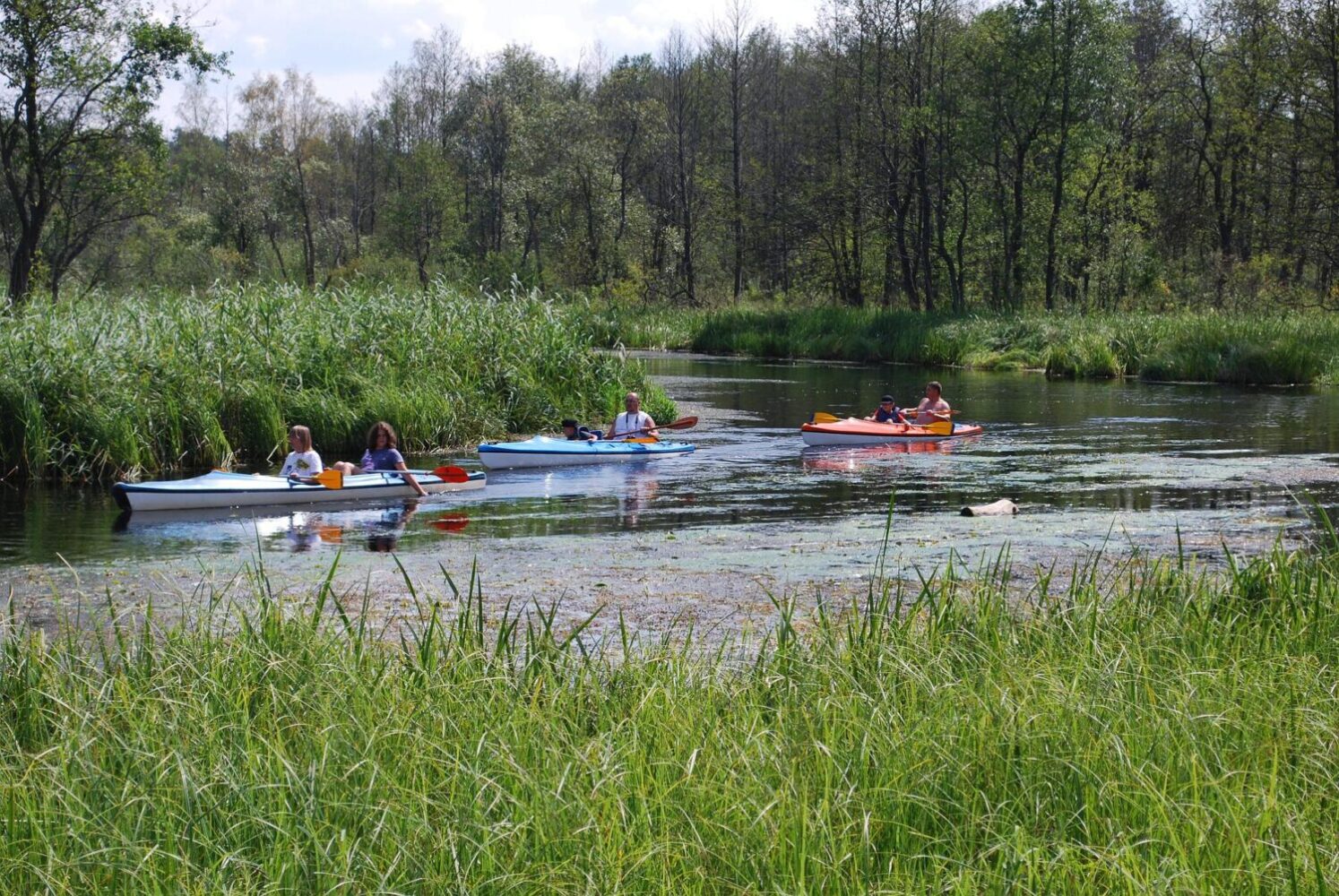 Water Activities